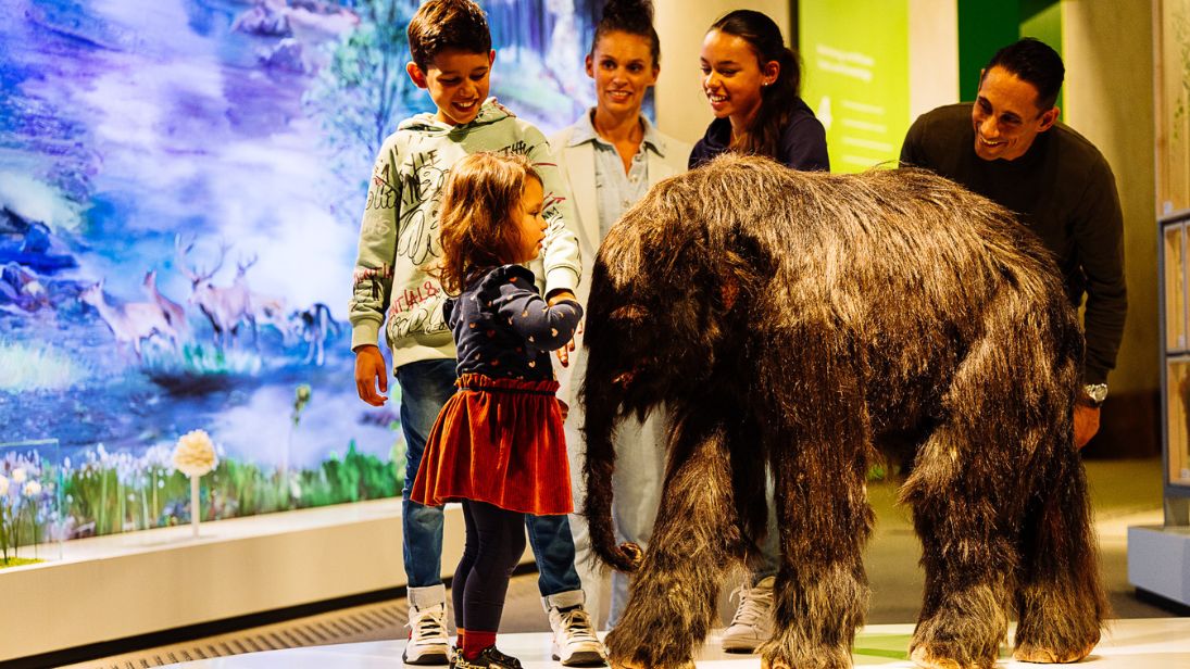 Taucht im Neanderthal Museum in die Zeit der Steinzeit ein. © Neanderthal Museum